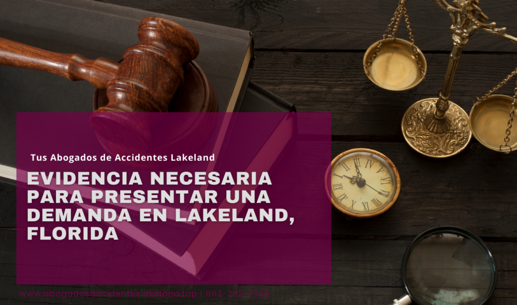 qué evidencia necesito para demanda Lakeland